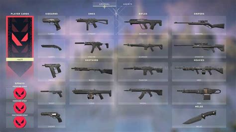 VALORANT All Guns .